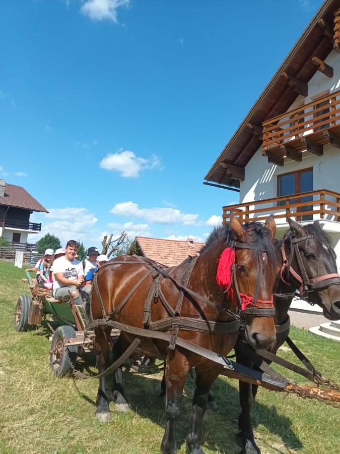 Casa Calea Haiducilor Sohodol  Exteriör bild